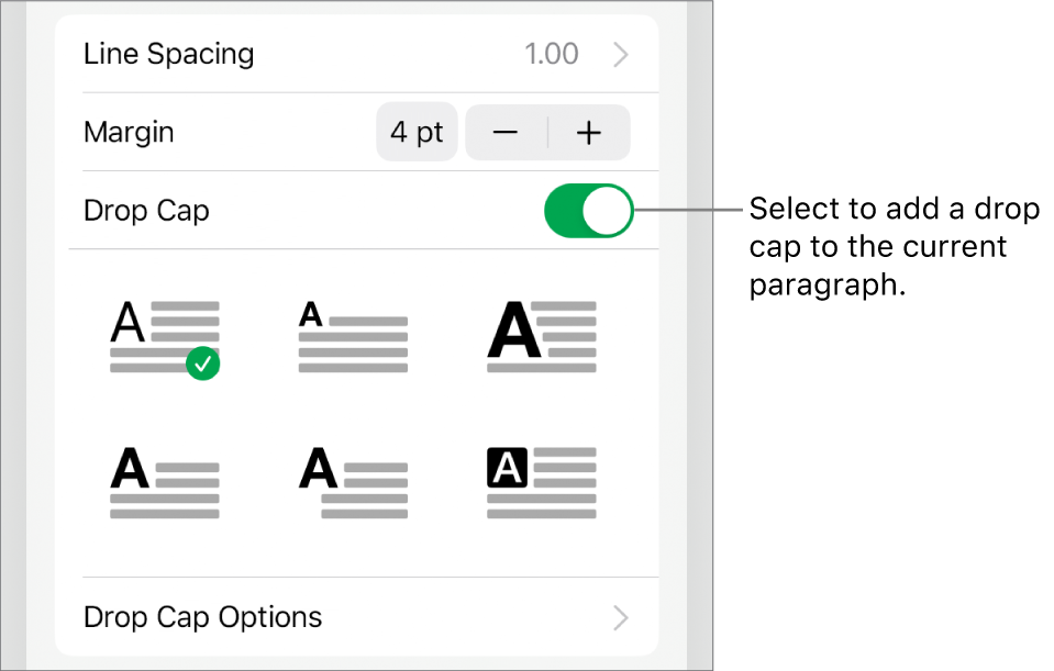 The Drop Cap controls located in the Text menu.