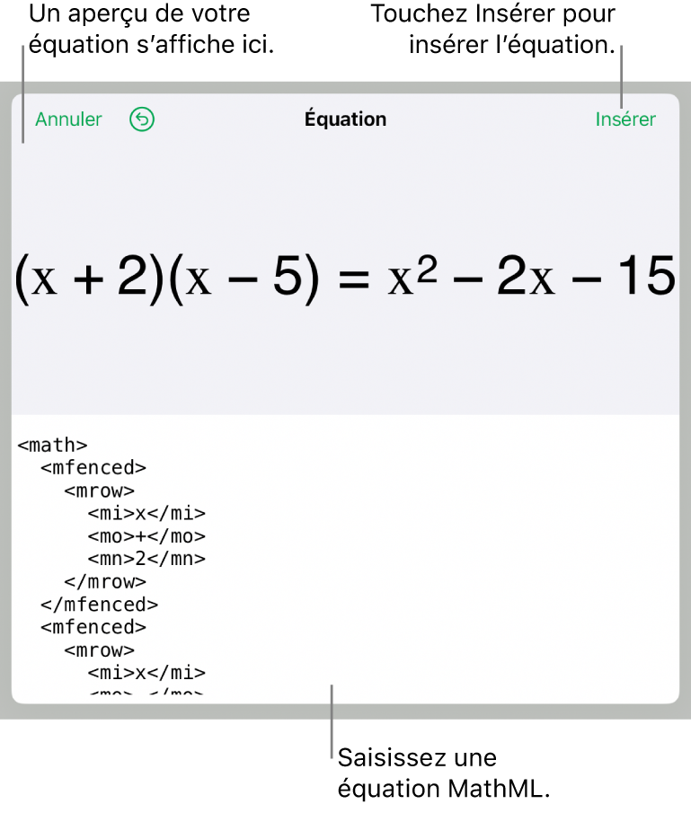 Zone de dialogue Équation, affichant une équation composée à l’aide des commandes MathML, et un aperçu de la formule au-dessus.