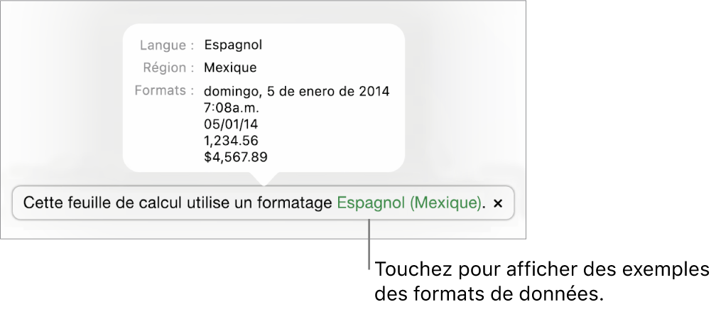 La notification du réglage de langue et de région différents, qui affiche des exemples de la mise en forme correspondant à cette langue et à cette région.