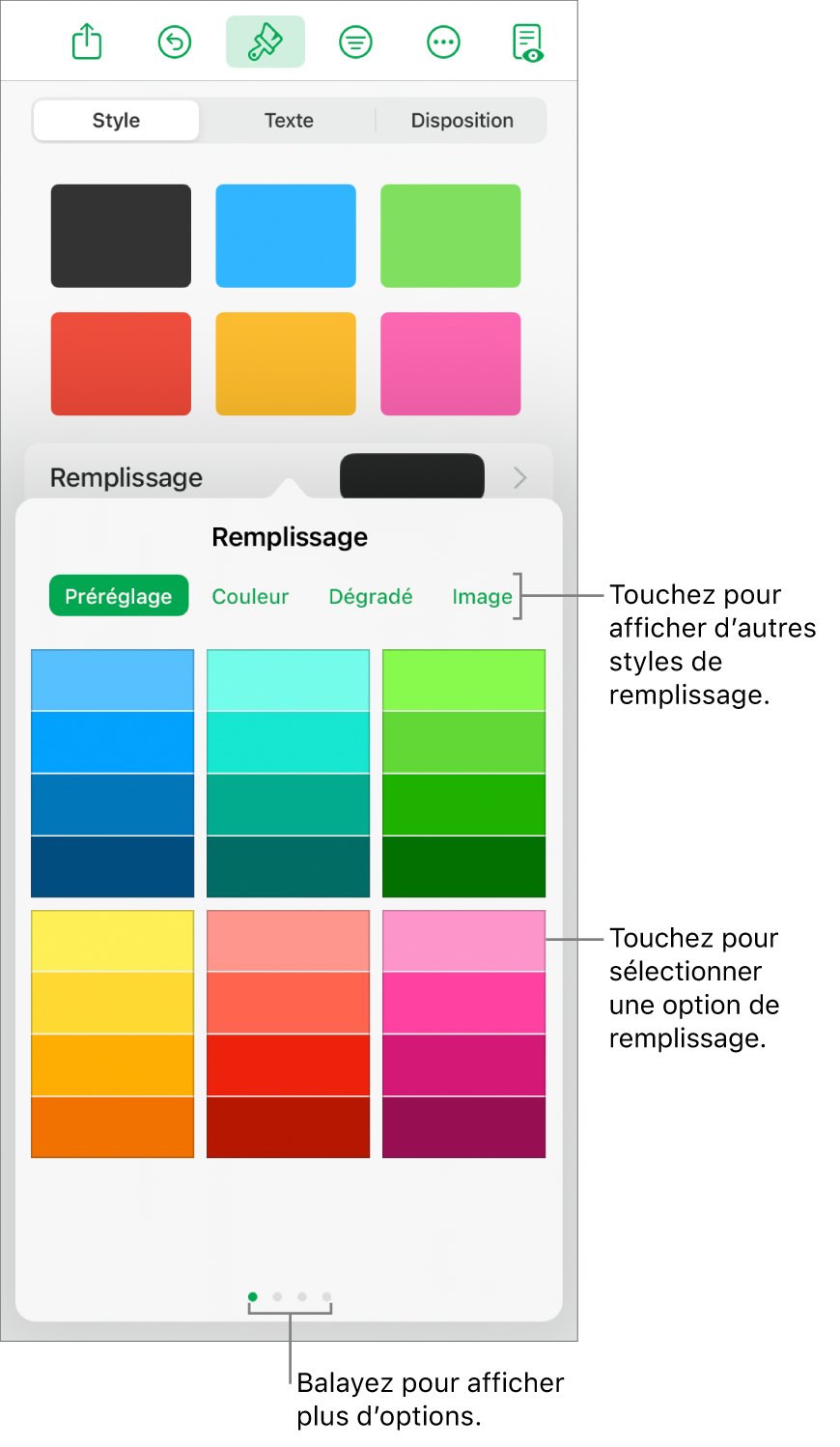 Options de remplissage de l’onglet Style du bouton Format.