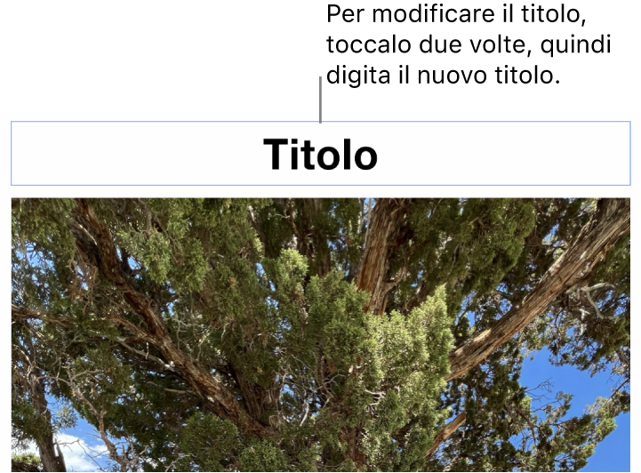 Il titolo segnaposto “Titolo” viene visualizzata sotto una foto e un contorno blu attorno al campo del titolo indica che è stato selezionato.