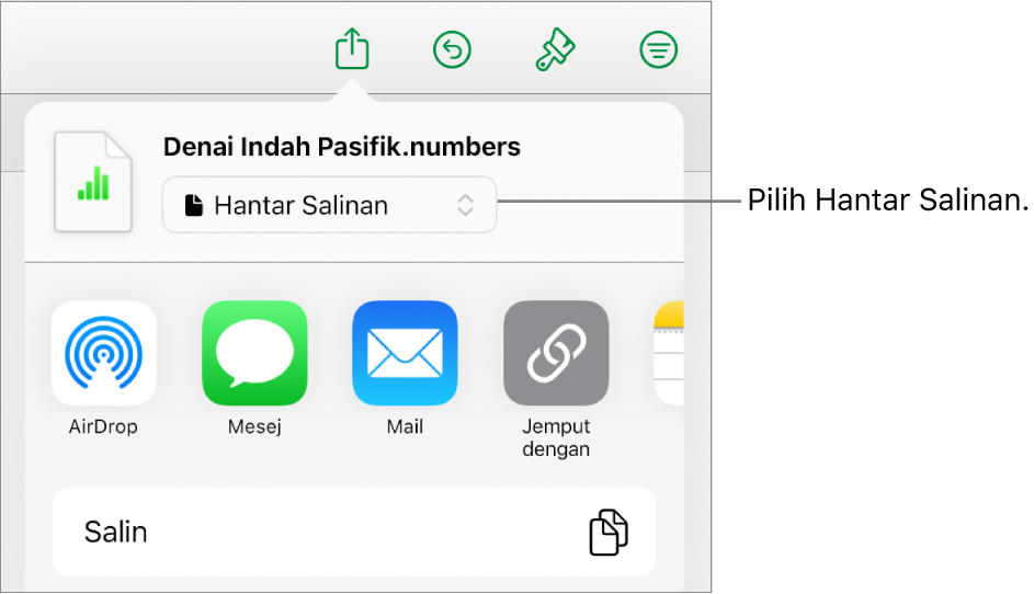 Menu Kongsi dengan Hantar Salinan dipilih di bahagian atas.