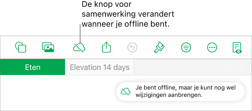 De knoppen boven in het scherm, met de knop voor samenwerking die is veranderd in een wolk met een schuine streep. De volgende melding staat op het scherm: 'Je bent offline, maar je kunt nog wel wijzigingen aanbrengen.'