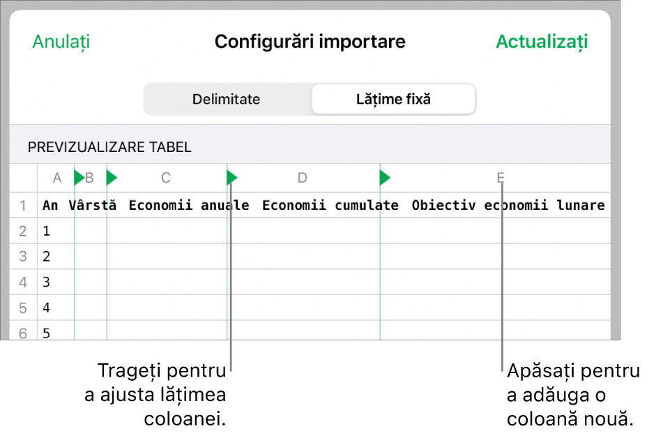 Configurările de importare pentru un fișier de text cu lățime fixă.