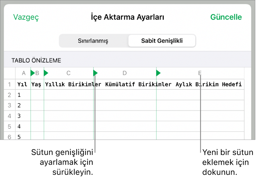 Sabit genişlikli metin dosyası için içe aktarma ayarları.