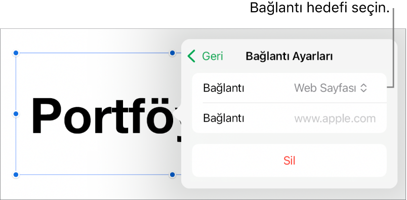 Bağlantı Ayarları denetimlerinde Web Sayfası seçili, en altta ise Sil düğmesi bulunuyor.