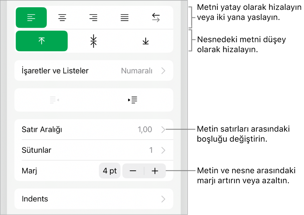 Metin hizalama ve aralık düğmelerine belirtimler gösteren Biçim Denetçisi'nin Hizalama bölümü.