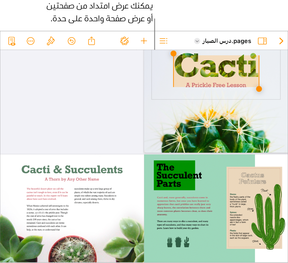 مستند يحتوي على صفحات معروضة كمجموعة امتداد من صفحتين.