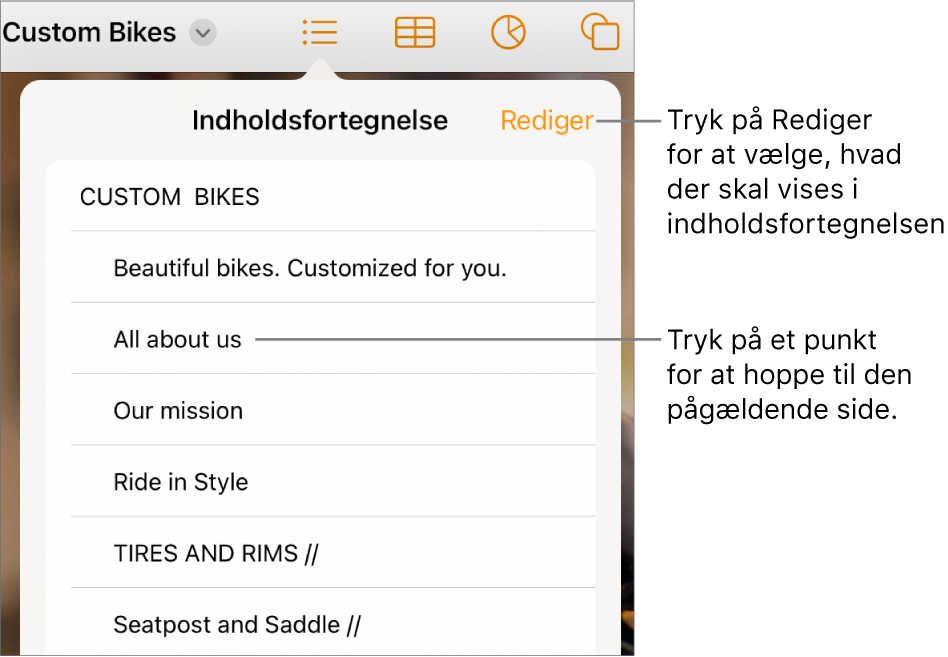 Oversigten med en liste over punkter i indholdsfortegnelsen. Knappen Rediger findes i øverste højre hjørne af oversigten.