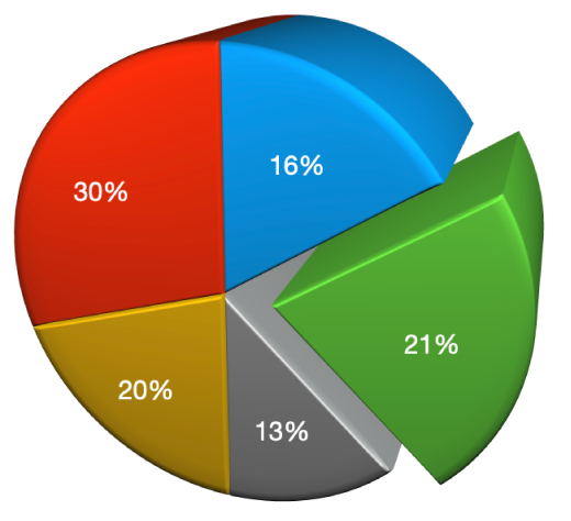 A 3D pie chart with a bevel and increased depth.