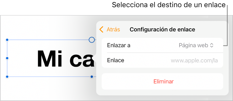 Los controles de Configuración de enlace con la opción Página web seleccionada, y el botón Eliminar en la parte de abajo.