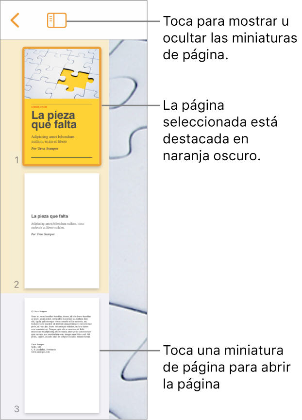 Visualización de miniaturas de página en el lado izquierdo de la pantalla con una página seleccionada. El botón “Opciones de visualización” está encima de las miniaturas.