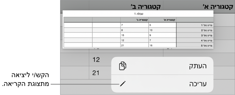 נבחר תא בטבלה, ומעליו מופיע תפריט עם הכפתורים ״העתק״ ו״עריכה״.