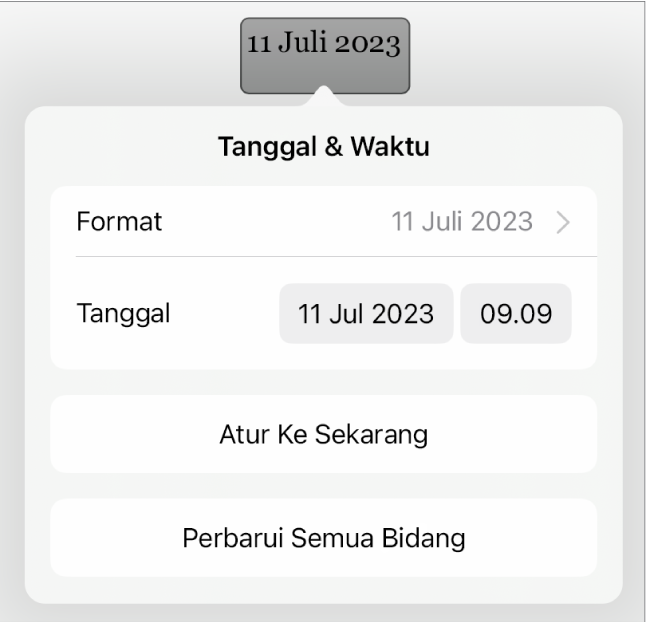 Kontrol Tanggal & Waktu menampilkan menu pop-up untuk Format tanggal, dan tombol Atur ke Sekarang serta Perbarui Semua Bidang.