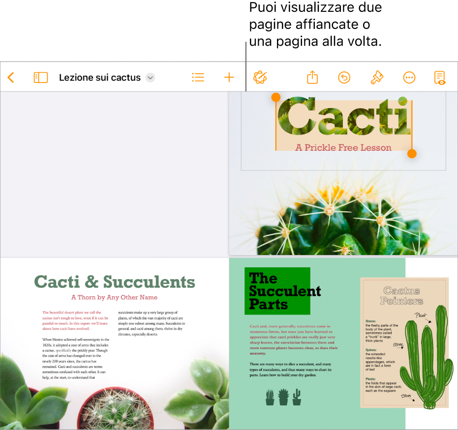 Un documento con le pagine visualizzate come due pagine affiancate.