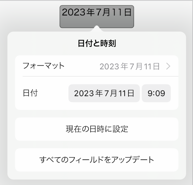 「日付と時刻」コントロール。日付の「フォーマット」のポップアップメニューと、「現在の日時に設定」ボタンおよび「すべてのフィールドをアップデート」ボタンが表示された状態。