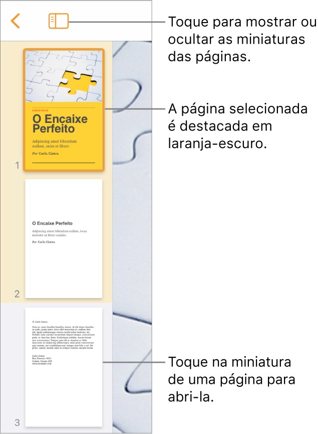 Visualização de Miniaturas de Página na parte esquerda da tela com uma seção de duas páginas, uma linha separadora e uma página da seção seguinte. O botão Visualizar aparece acima das miniaturas.