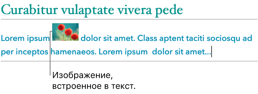 Изображение, встроенное в текст.