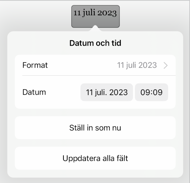 Reglagen Datum och tid med popupmenyn Format och knapparna Ställ in som nu och Uppdatera alla fält.
