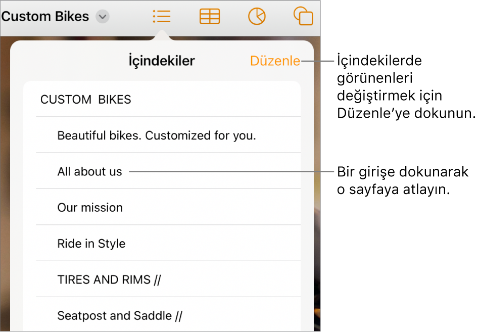 Listedeki girişlerle birlikte içindekiler görüntüsü. Düzenle düğmesi, görüntünün sağ üst köşesindedir.