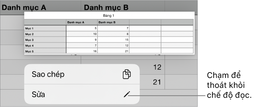 Một ô bảng được chọn và phía trên ô bảng đó là menu với các nút Sao chép và Sửa.