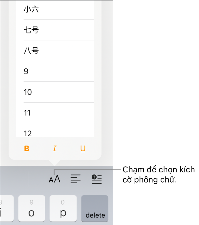 Nút Cỡ chữ nằm ở bên phải của bàn phím iPad với menu Cỡ chữ được mở. Các cỡ chữ tiêu chuẩn của chính phủ Trung Quốc đại lục xuất hiện ở đầu menu, cùng với các kích cỡ tính theo điểm ở bên dưới.