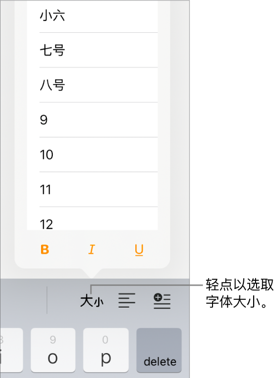 iPad 键盘右侧的“字体大小”按钮，其中“字体大小”菜单已打开。中国大陆政府标准字号显示在菜单顶部，点值位于下方。