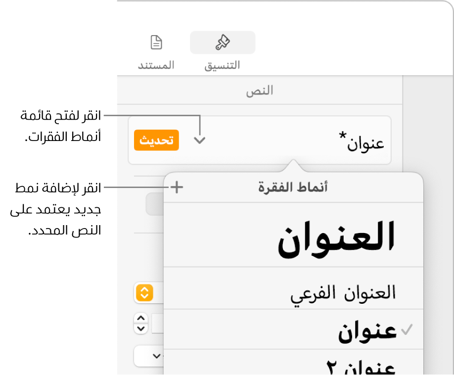 قائمة أنماط الفقرة، تظهر بها عناصر تحكم لإضافة نمط أو تغييره.