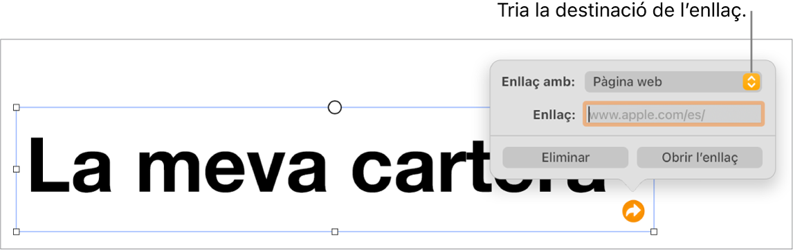 Controls de l’editor d’enllaços amb l’opció “Pàgina web” seleccionada i els botons “Elimina” i “Obre l’enllaç” situats a la part inferior.