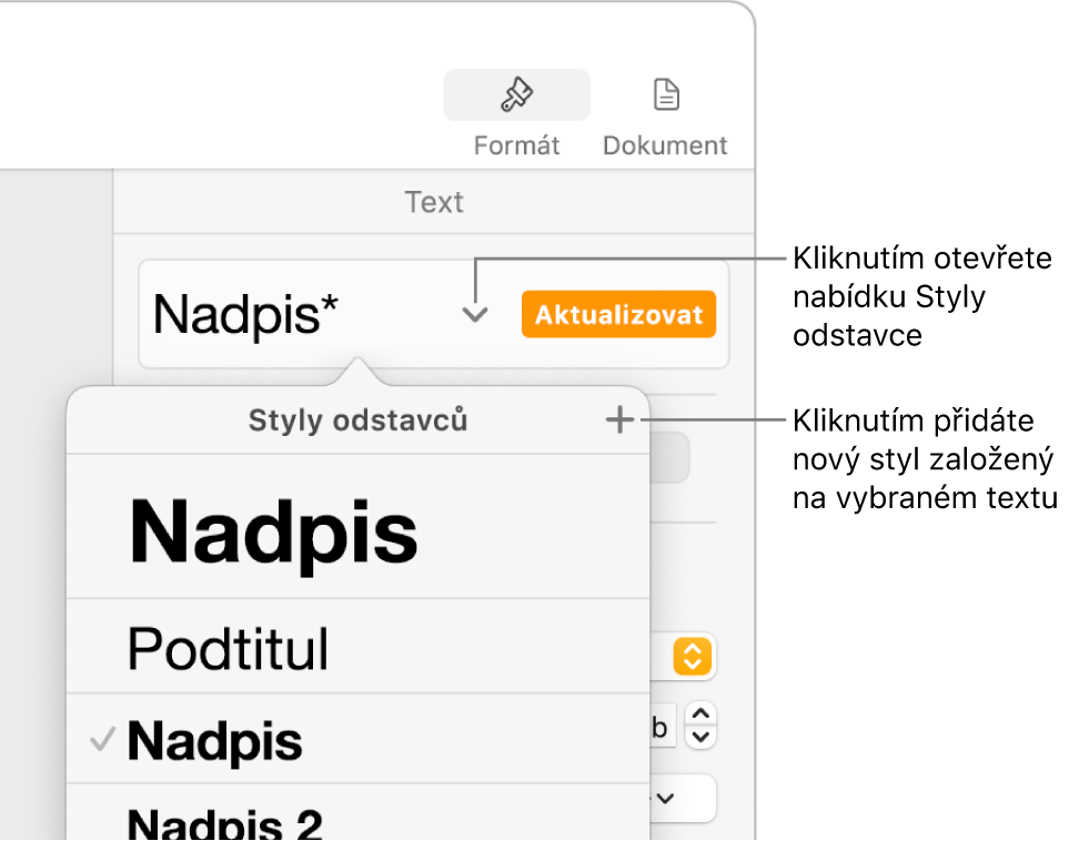 Nabídka Styly odstavců s ovládacími prvky pro přidání nebo změnu stylu