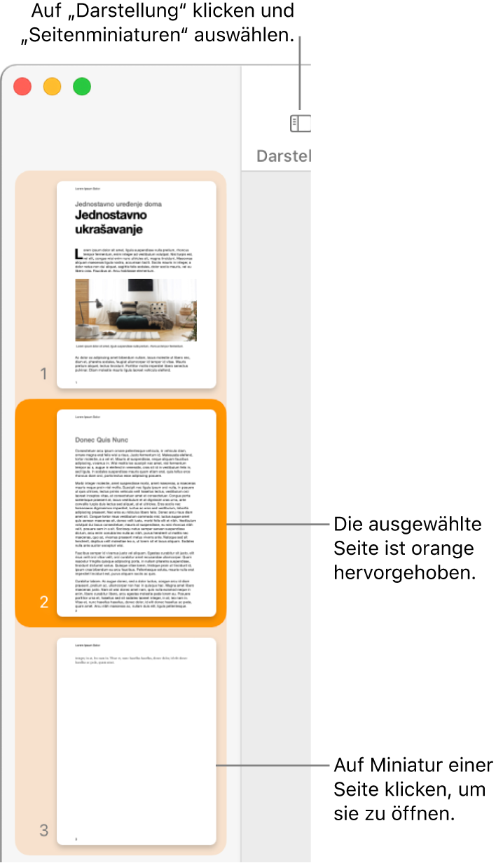 Die Seitenleiste links im Fenster „Pages“ mit der geöffneten Miniaturdarstellung der Seiten und der dunkelorange hervorgehobenen Miniatur der aktuell ausgewählten Seite.