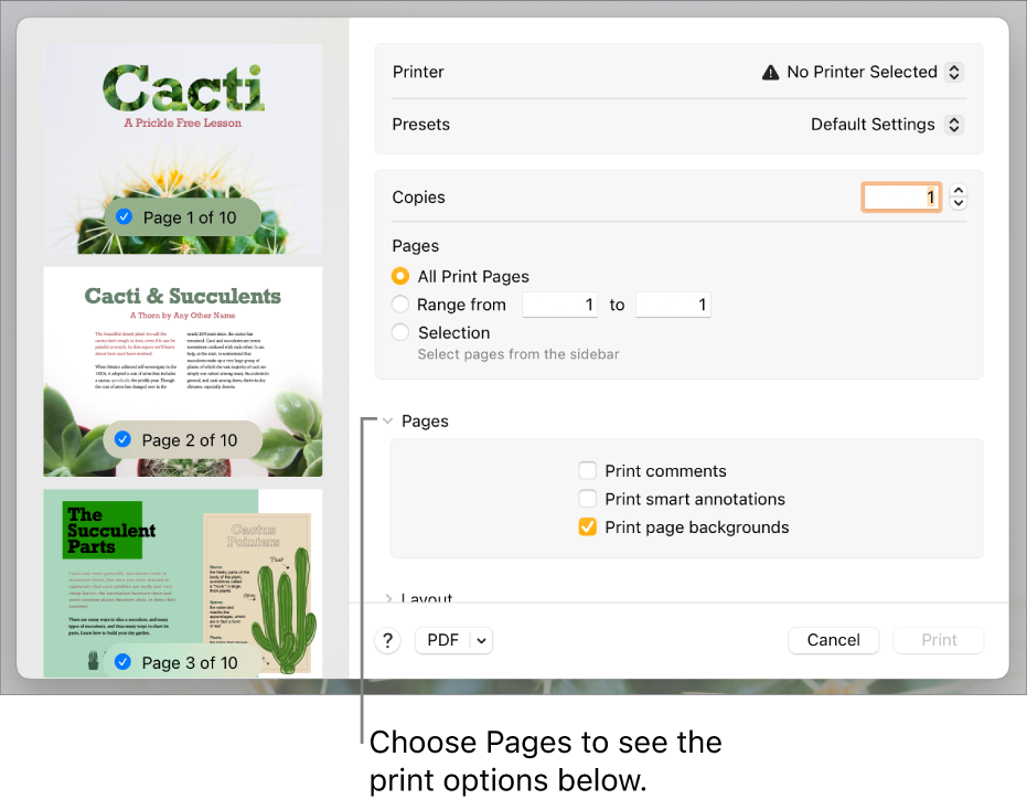 Print dialogue with controls for printer, presets, copies and page range. Pages is selected in the pop-up menu below the settings for page range, followed by tick boxes to print comments, print smart annotations and print page backgrounds.