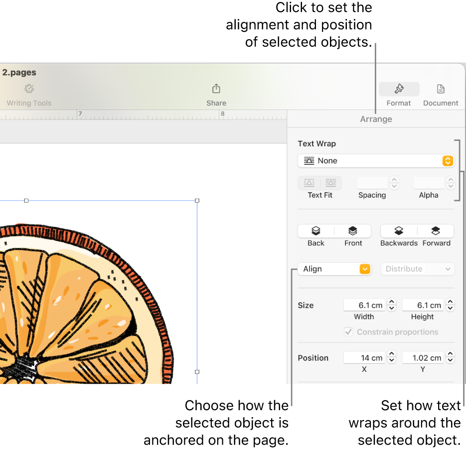 The Format menu with the Arrange sidebar displayed. The Object Placement settings are at the top of the Arrange sidebar with the Text Wrap settings below.