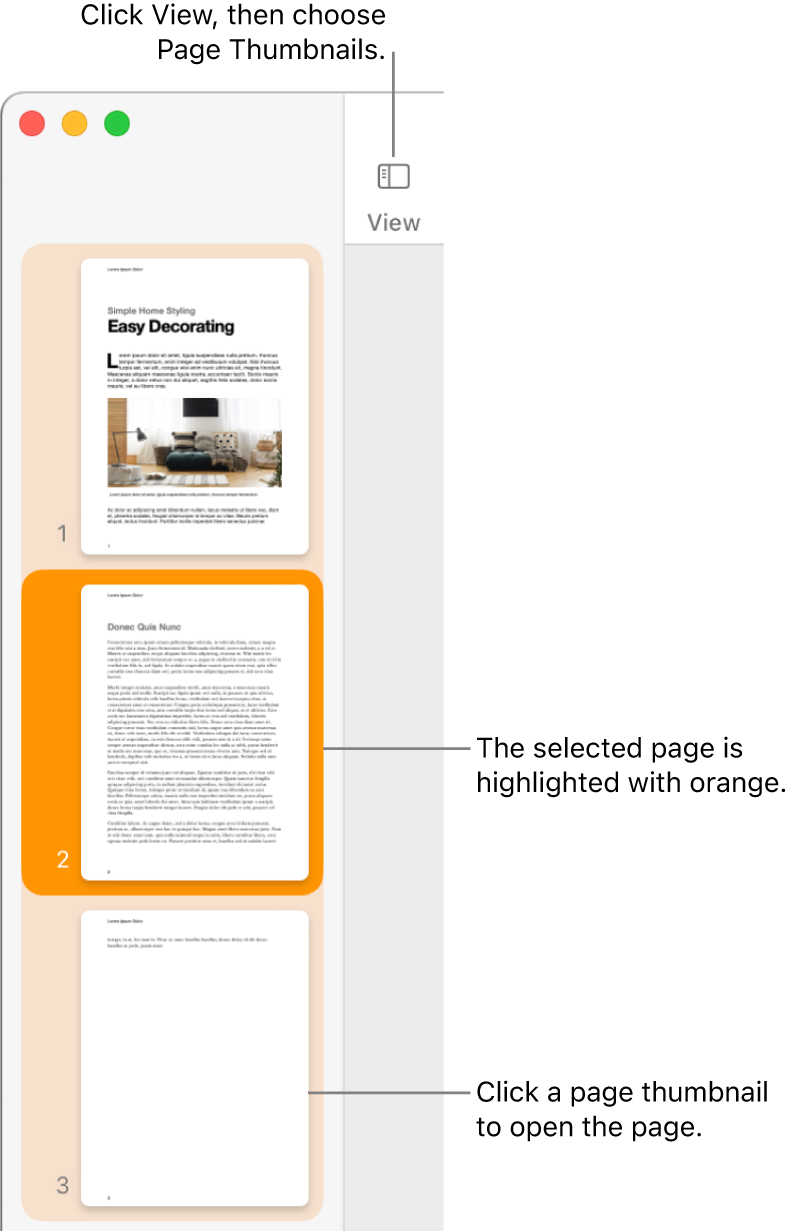 The sidebar on the left side of the Pages window with Page Thumbnails view open and a selected page highlighted in dark orange.