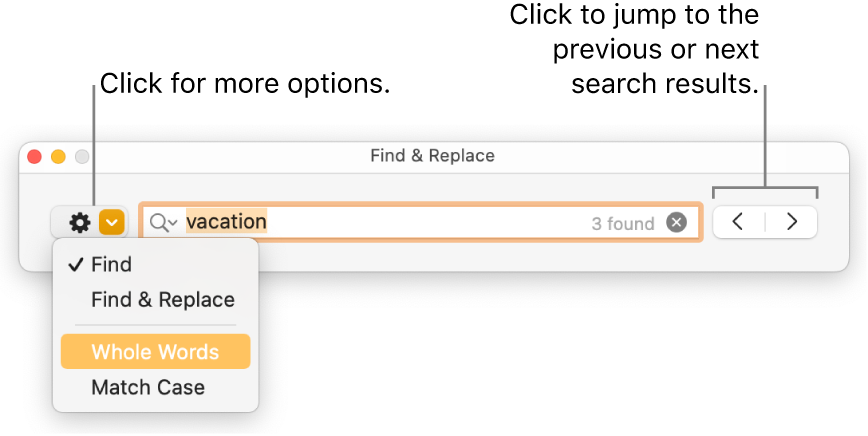 The Find & Replace window with the pop-up menu showing options for Find, Find & Replace, Whole Words, and Match Case. The arrows on the right let you jump to the previous or next search results.