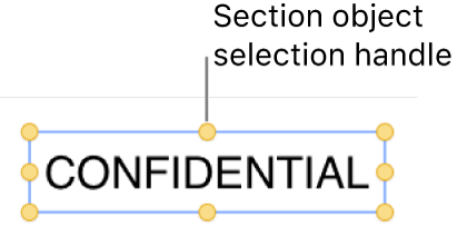 An object with selection handles.