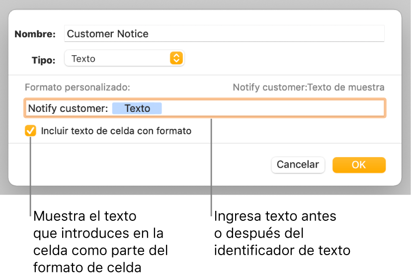 La ventana de formato de celda personalizado con controles para seleccionar formatos de texto personalizados.