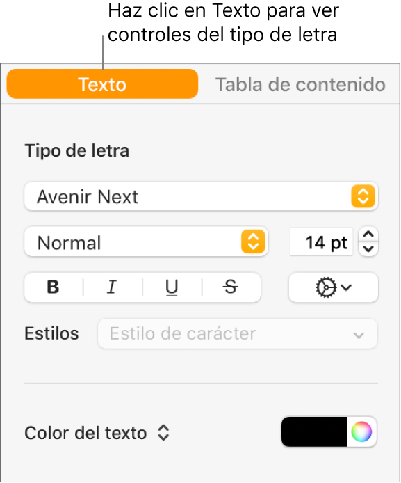 La barra lateral Formato con la pestaña Texto seleccionada y los controles de tipo letra para cambiar el tipo de letra, su tamaño y añadir estilos de carácter.