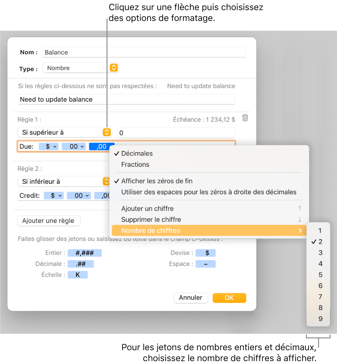 La fenêtre de format de cellule personnalisé présentant les commandes permettant de choisir des options de mise en forme personnalisée.