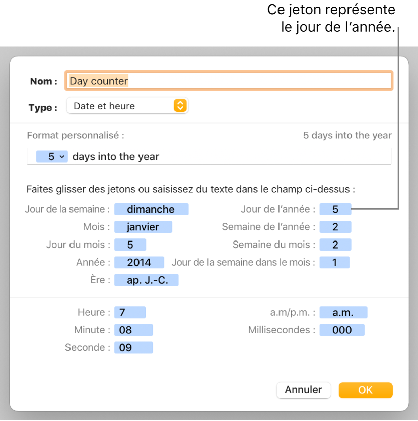 Fenêtre de format de cellule personnalisé présentant les commandes permettant de choisir un format de date et d’heure personnalisé.