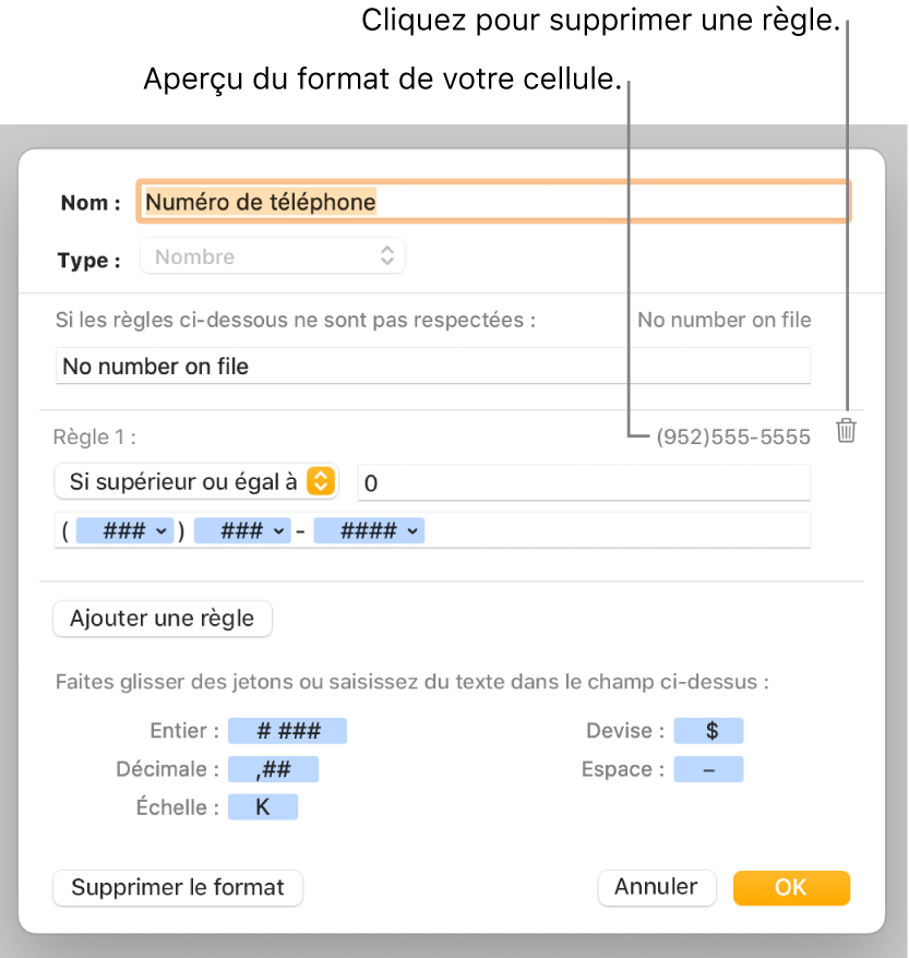 Fenêtre de format de cellule personnalisé présentant les commandes permettant de choisir un format numérique personnalisé.