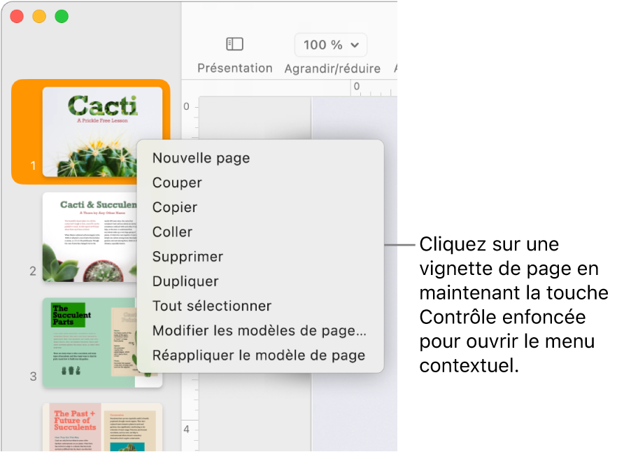 Présentation Vignettes de page avec une vignette sélectionnée et le menu contextuel ouvert.