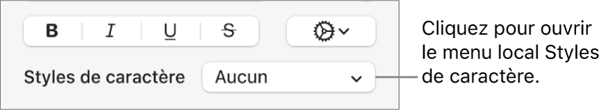 Le menu local Styles de caractère.