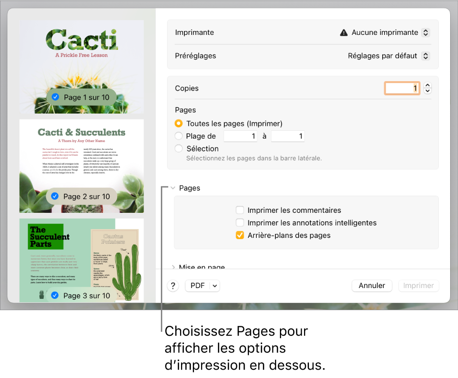 Zone de dialogue Imprimer présentant des commandes d'imprimante, de préréglage, de copie et de plage de pages. L’option Pages est sélectionnée dans le menu local sous les réglages de la plage de pages, suivie de cases à cocher pour imprimer les commentaires, imprimer les annotations intelligentes et imprimer les arrière-plans des pages.