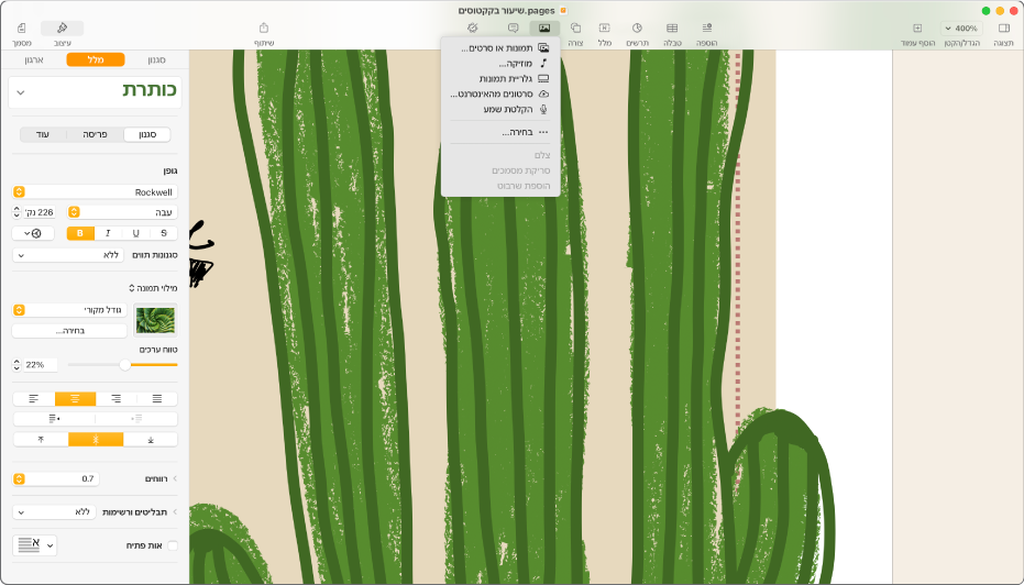 מסמך פתוח, שבו התפריט ״הוספת מדיה״ פתוח.