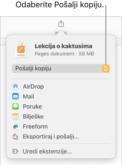 Izbornik dijeljenja s odabranom opcijom Pošalji kopiju pri vrhu.