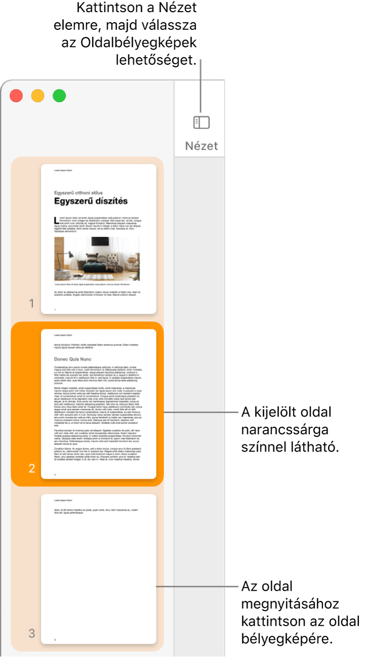 Az oldalsáv a Pages ablakának bal oldalán, rajta megnyitva az Oldalbélyegképek nézete, és a kiválasztott oldal sötét narancssárga színnel kijelölve.