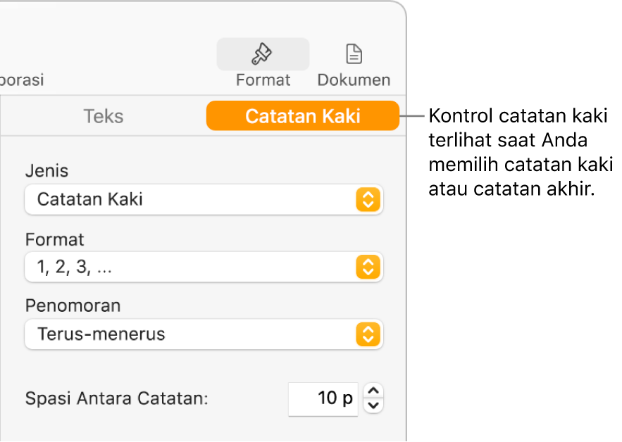 Panel Catatan Kaki menampilkan menu pop-up untuk Jenis, Format, Penomoran, dan spasi di antara catatan.