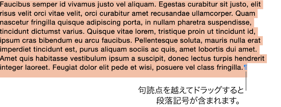 選択されている段落。選択部分に段落記号が含まれています。