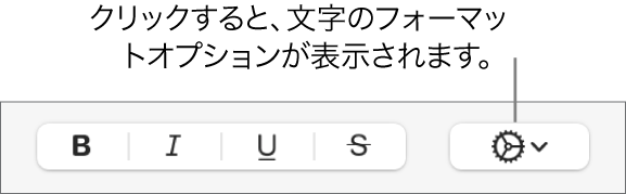 「ボールド」、「イタリック」、「アンダーライン」、および「取り消し線」ボタンの右に「詳細オプション」ポップアップメニューがあります。